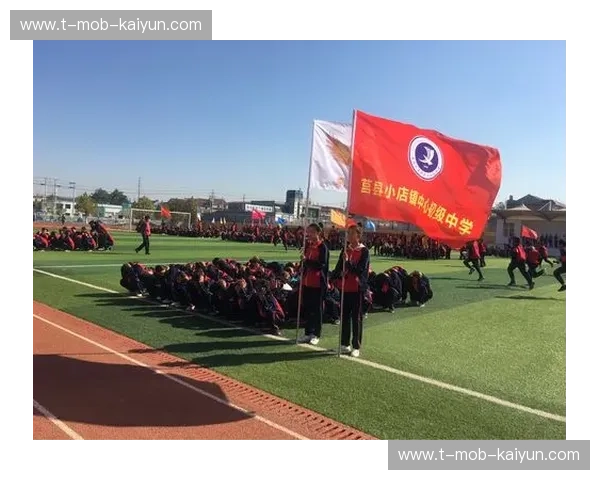 开云体育打不开怎么办：从自查到求助的实用攻略