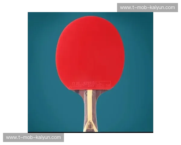 一拍定乾坤：让每一次挥拍都充满可能的乒乓球拍